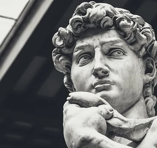 Robin Engelmann's profile picture