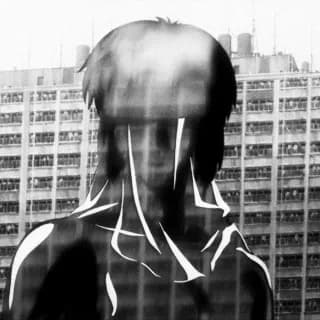 IntrepidXBT's profile picture