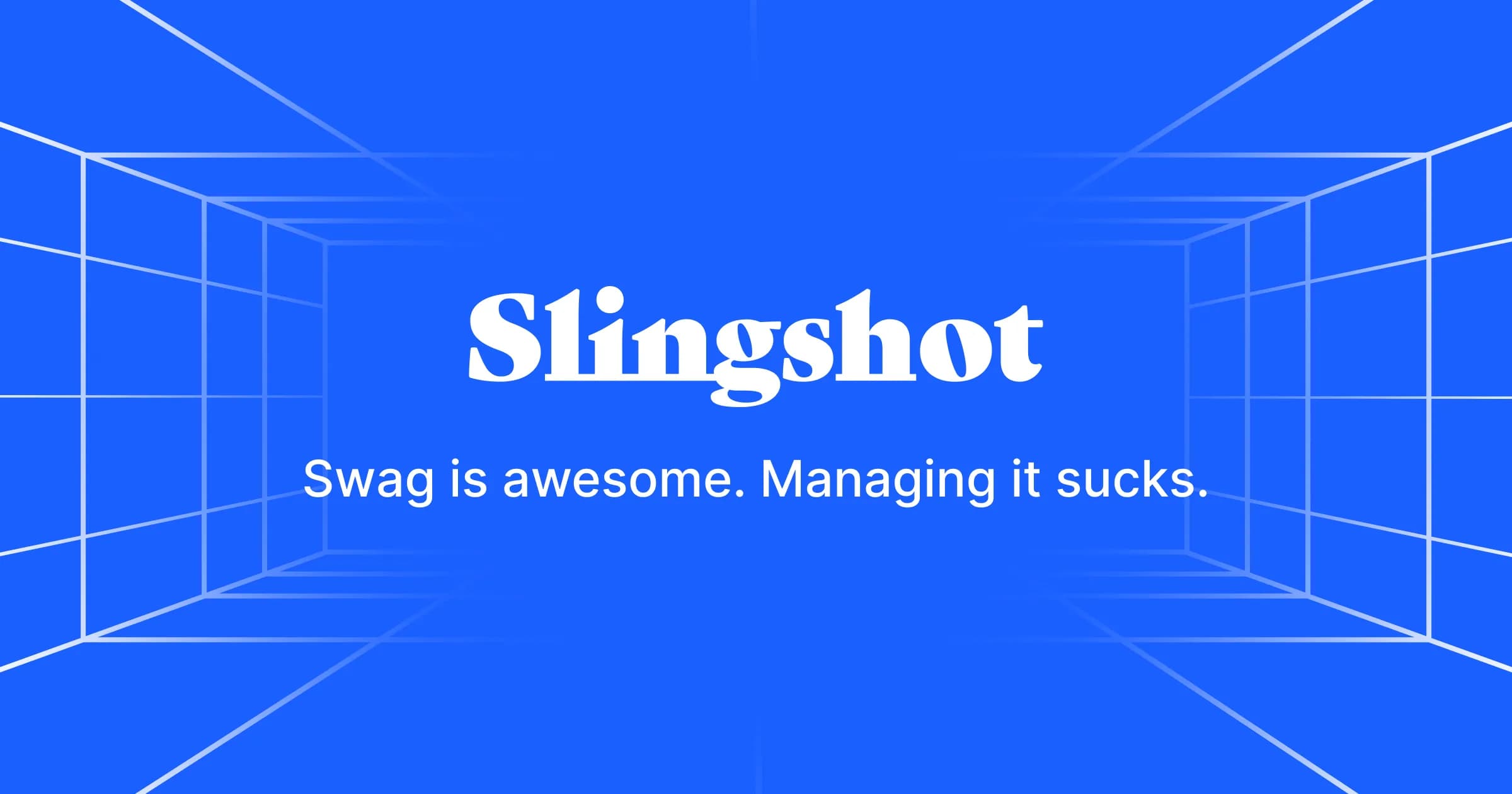 Slingshot image