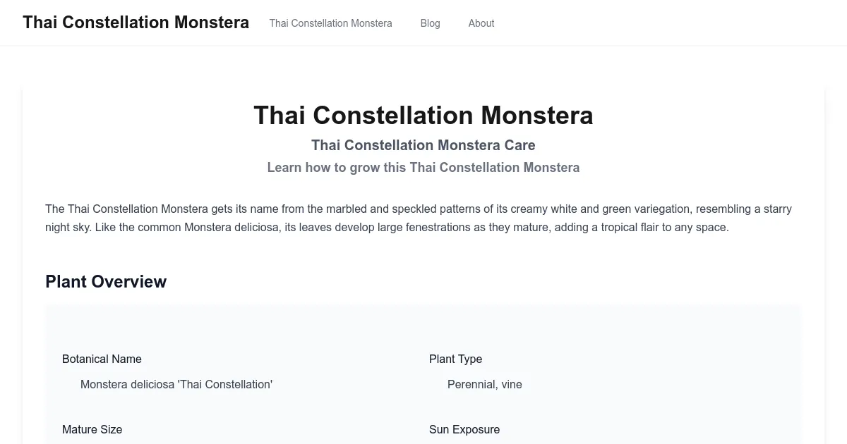Thai Constellation image