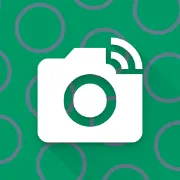 Website Screenshot logo