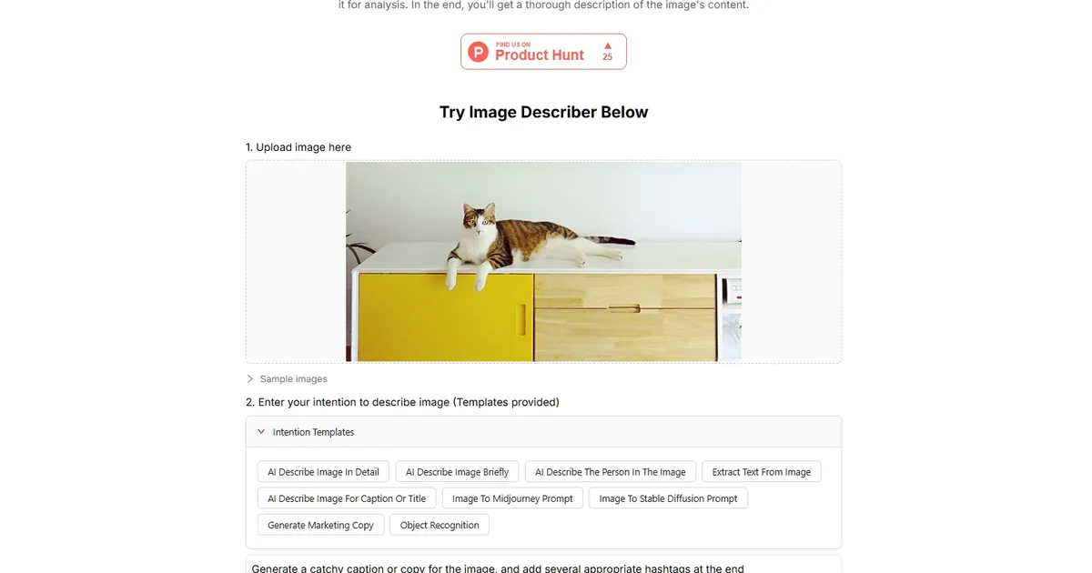 Image Describer image