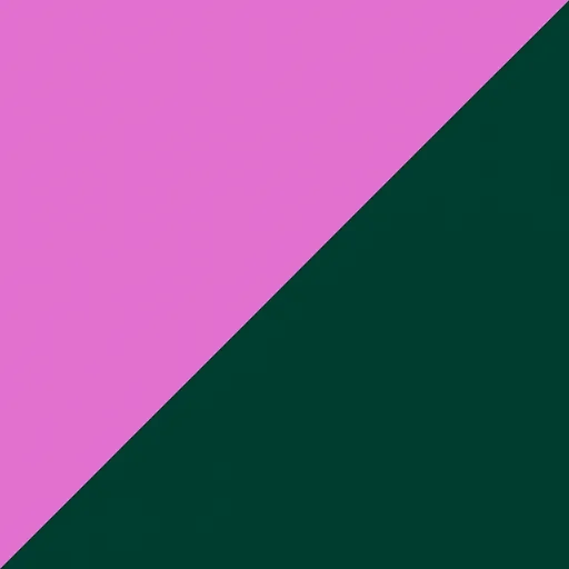 Brave Pink Edit logo