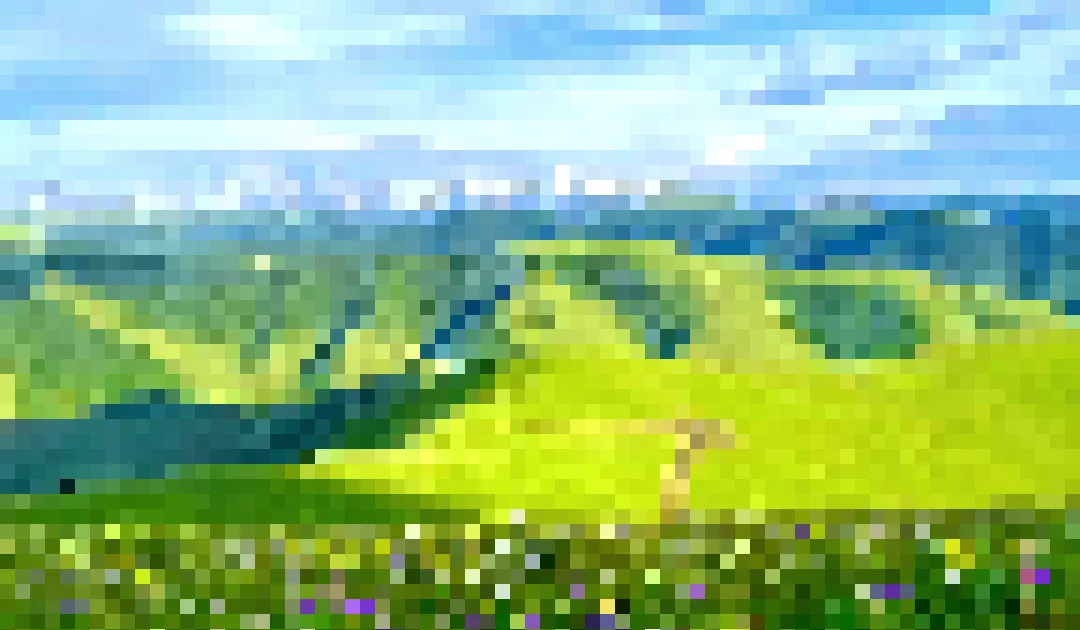 Image to Pixel image