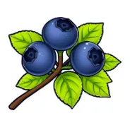 Blueberry Loom logo