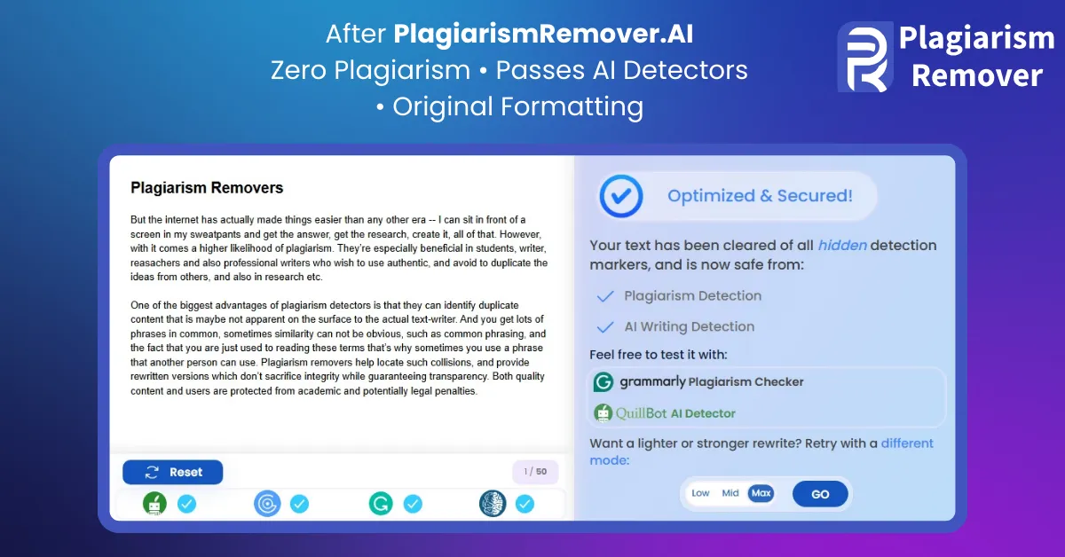 PlagiarismRemover.AI image