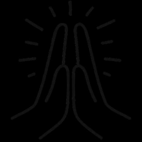 Prayse logo