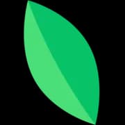 🌱kvitly logo