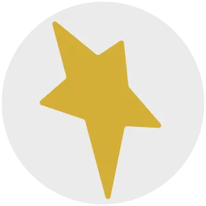 Local Stars logo